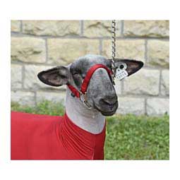 Nylon Sheep Halter & Lead Red - Item # 22741