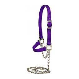 Nylon Sheep Halter & Lead Purple - Item # 22741