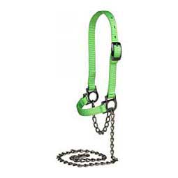 Nylon Sheep Halter & Lead Lime Zest - Item # 22741