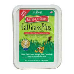 Cat A'bout Cat Grass Plus 5.25 oz - Item # 22765