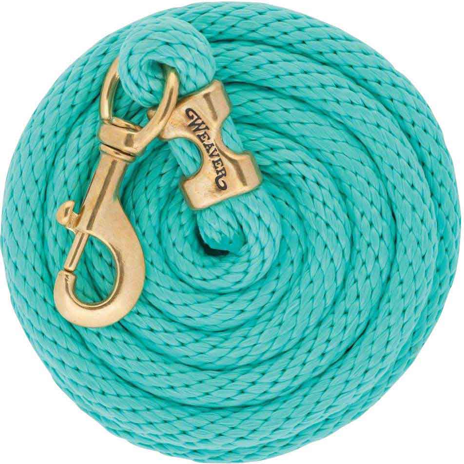 Weaver Poly Lead Rope with Solid Brass Snap Mint