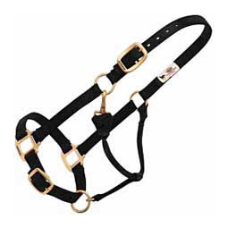Personalized Hot Horse Halter Black - Item # 22892