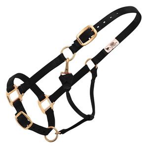 Weaver Custom Embroidered Hot Horse Halter Black - Item # 22892