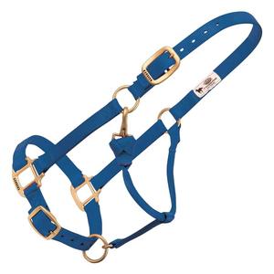 Weaver Custom Embroidered Hot Horse Halter Blue - Item # 22892