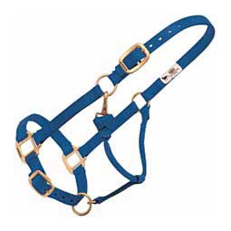 Personalized Hot Horse Halter Blue - Item # 22892