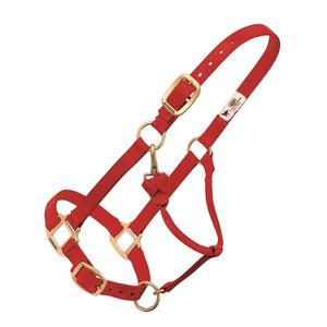 Weaver Custom Embroidered Hot Horse Halter Red - Item # 22892