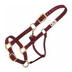 Personalized Hot Horse Halter Burgundy - Item # 22892