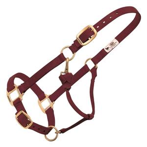Weaver Custom Embroidered Hot Horse Halter Burgundy - Item # 22892