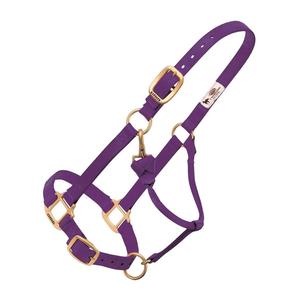 Weaver Custom Embroidered Hot Horse Halter Purple - Item # 22892