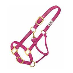 Personalized Hot Horse Halter Raspberry - Item # 22892