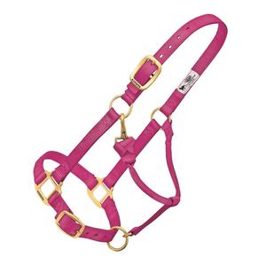 Weaver Custom Embroidered Hot Horse Halter Raspberry - Item # 22892
