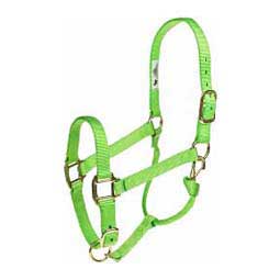 Personalized Hot Horse Halter Lime Zest - Item # 22892