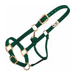 Personalized Hot Horse Halter Hunter Green - Item # 22892