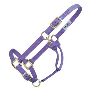 Weaver Custom Embroidered Hot Horse Halter Lavender - Item # 22892