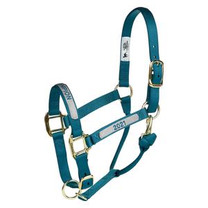 Weaver Custom Embroidered Hot Horse Halter Teal - Item # 22892