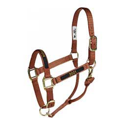 Personalized Hot Horse Halter Cinnamon - Item # 22892