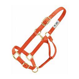 Personalized Hot Horse Halter Orange - Item # 22892