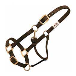 Personalized Hot Horse Halter Brown - Item # 22892