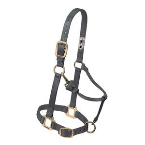 Weaver Custom Embroidered Hot Horse Halter Graphite - Item # 22892