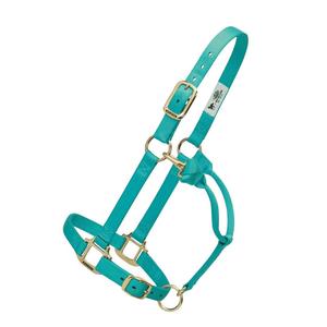 Weaver Custom Embroidered Hot Horse Halter Mint - Item # 22892