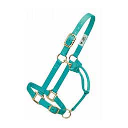 Personalized Hot Horse Halter Mint - Item # 22892
