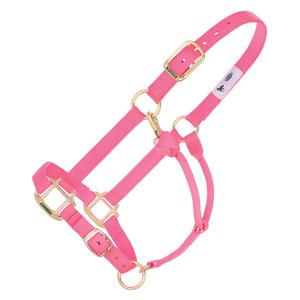Weaver Custom Embroidered Hot Horse Halter Diva Pink - Item # 22892