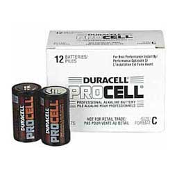 Alkaline Batteries 12 ct - Item # 22982