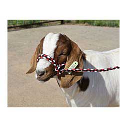 Braided Nylon Halter Black/Red/White - Item # 23138