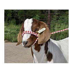 Braided Nylon Halter Red/White - Item # 23138