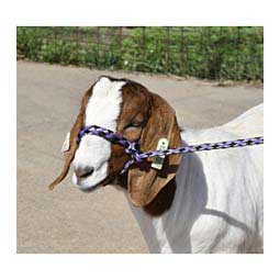 Braided Nylon Halter Silver/Black/Purple - Item # 23138