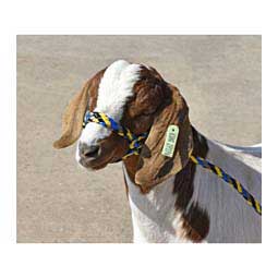 Braided Nylon Halter Yellow/Blue/Silver/Black - Item # 23138