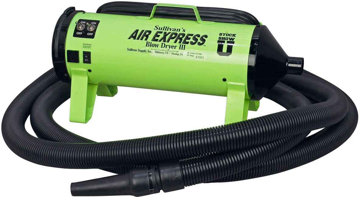 Air Express III Screaming Neon Item 23590