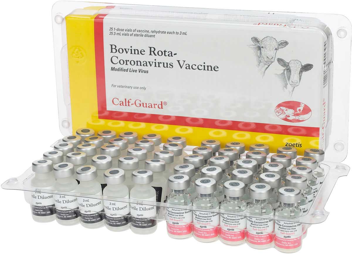 Calf Guard Cattle Vaccine Zoetis Animal Health Vaccines Calf Scours calf-guard-cattle-vaccine-zoetis-animal-health-vaccines-calf-scours