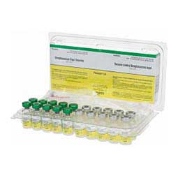 Pinnacle I.N. Equine Vaccine 10 x 1 dose vials - Item # 24192