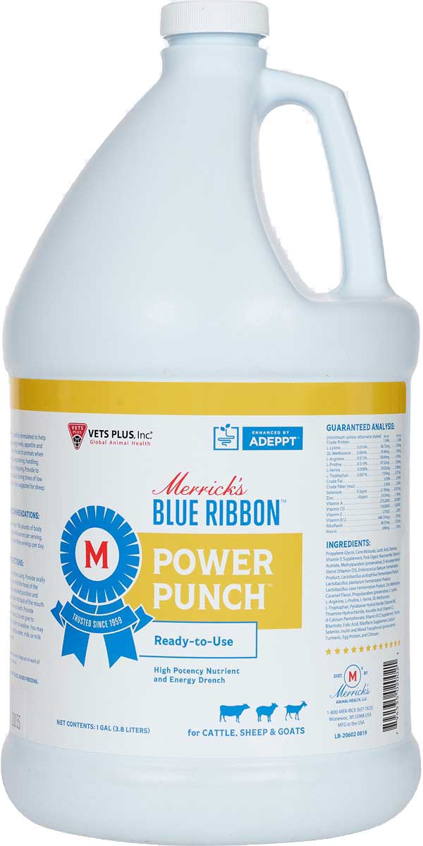 Merrick's Blue Ribbon Power Punch RTU Energy Drench for Cattle, Sheep and  Goats