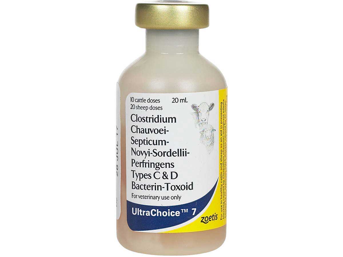 UltraChoice 7 Cattle Sheep Vaccine Zoetis Animal Health Vaccines ultrachoice-7-cattle-sheep-vaccine-zoetis-animal-health-vaccines