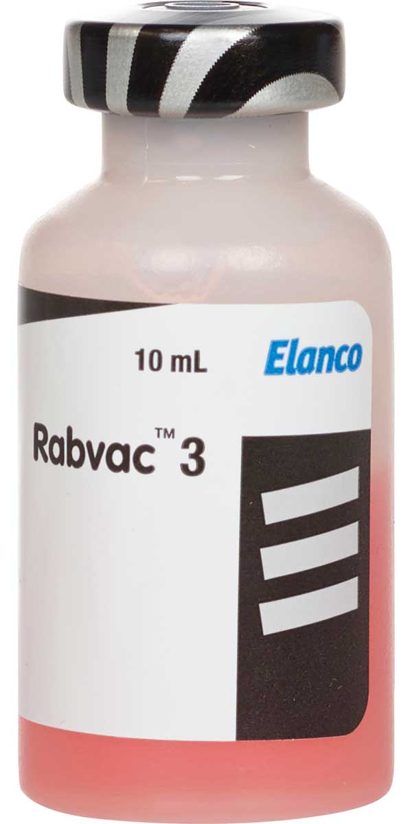 Rabvac 3 Rabies Vaccine Cats and Horses Elanco Animal - Rabies | Vaccines