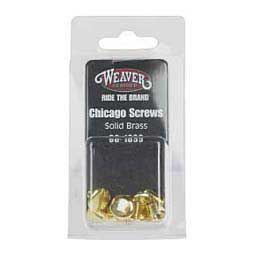 Solid Brass Chicago Screws 6 ct - Item # 24635