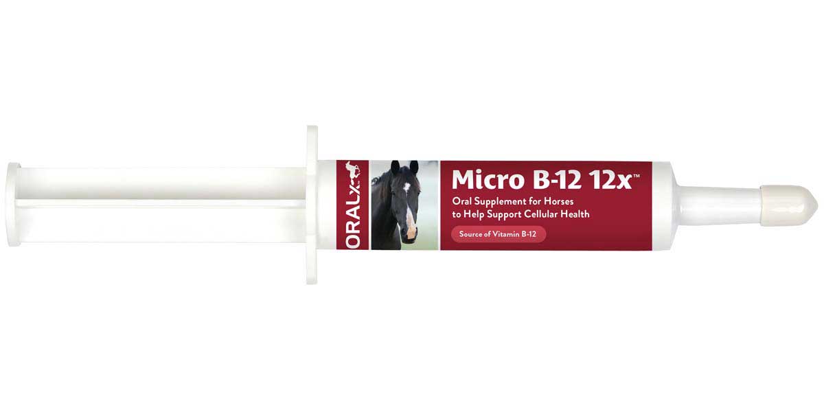 dr seeds bpc 157 Peptide Therapy for Anti-Aging, Gut Healing, and more dr seeds bpc 157 Peptide Therapy for Anti-Aging, Gut Healing, and more