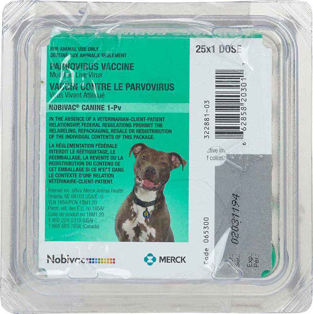 Nobivac Canine 1-PV (Galaxy PV) Dog Vaccine Merck - Dog Vaccines | Vaccines  | Pet