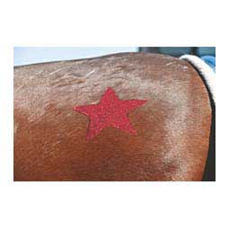 Twinkle Ultra Fine Horse Glitter Ruby Red - Item # 25069