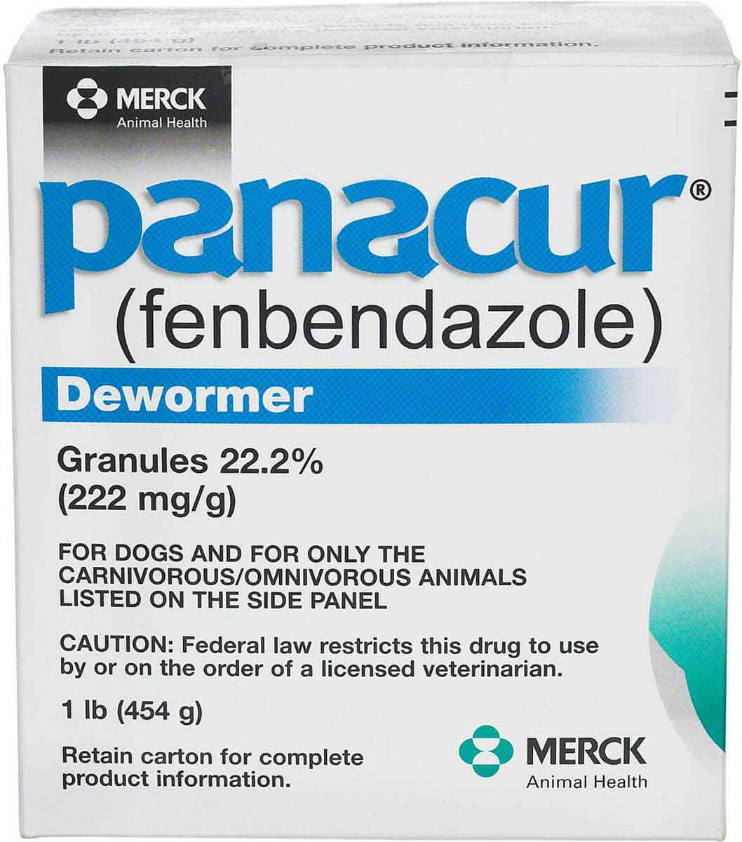 panacur heartworm