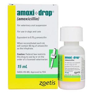 AmoxiDrop for Dogs and Cats 50 mg/ml 15 ml - Item # 255RX