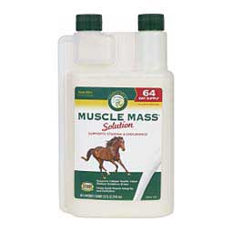 Muscle Mass Solution for Horses 32 oz (64 days) - Item # 25614