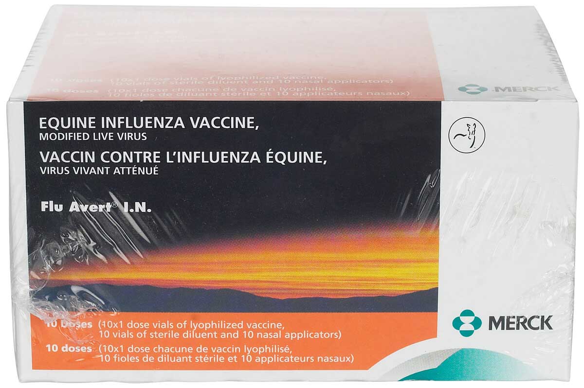 avert Flu Avert I.N. (Flu) Equine Vaccine Merck - Respiratory | Vaccines | Equine