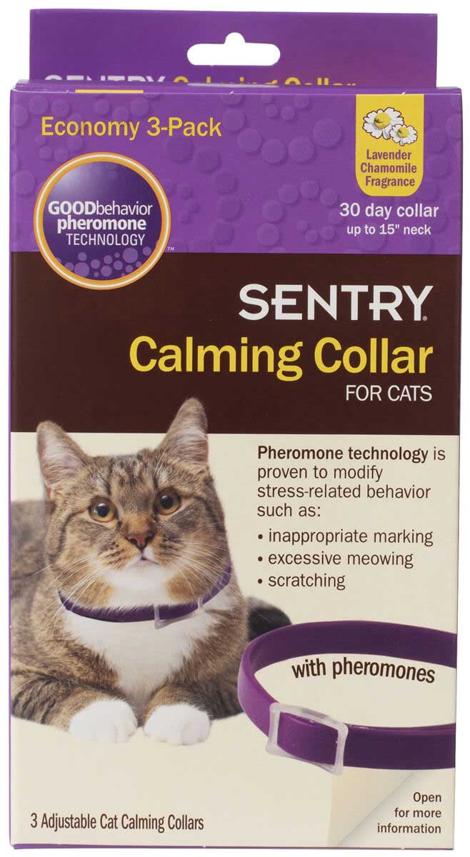 sentry calming bear