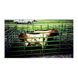Super Classic Bull Panel 3' - Item # 26464