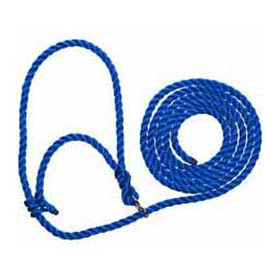 Stierwalt Breaking Halter Blue - Item # 26627