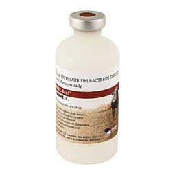 Endovac-Beef with ImmunePlus Cattle Vaccine 20 ds - Item # 27375