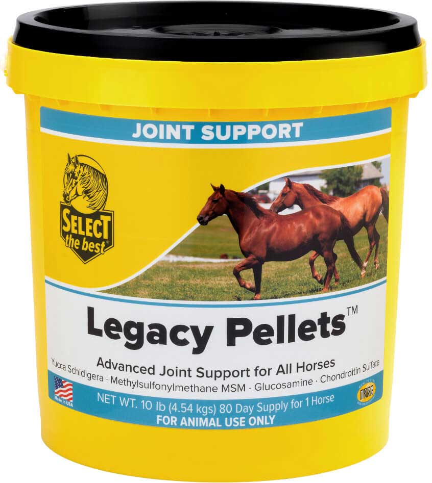 Legacy Joint Support for Senior Horses